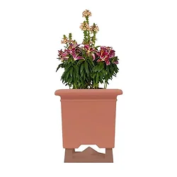 ROCKUSTICS-0171-0029