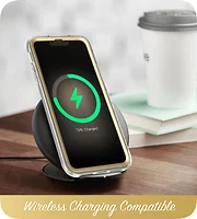 I BLASON-IPH2167CSSPLPD