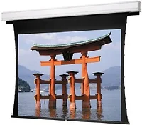 DALITE SCREEN COMPANY, INC-89930