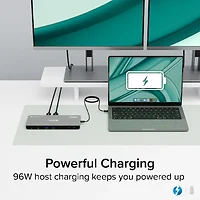 Plugable Technologies-TBT-6950PD