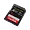 SDSDXEP-1T00-GN4IN