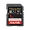 SDSDXEP-1T00-GN4IN