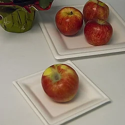 ECO-PRODUCTS,INC.-EP-P021