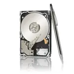 SEAGATE ST9250610NS