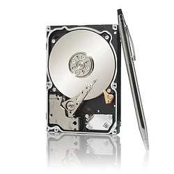 SEAGATE-ST9250610NS