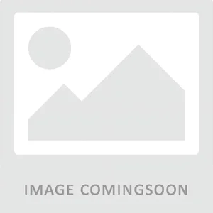 Black Box Corporation EVNDVI02-0010-R2 - 10FT Dual Link DVI-D Male to Male Cable