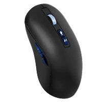 RICHWOODS TECHNOLOGY INC.-AIM100