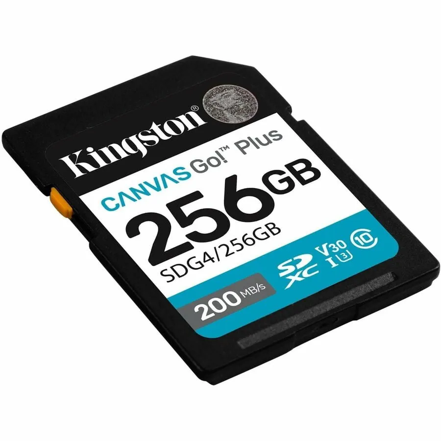 KINGSTON-SDG4256GB