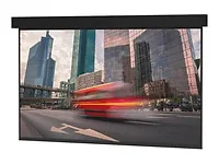 DALITE SCREEN COMPANY, INC-14208