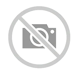 RICOH / Fujitsu-CG01000-308101