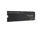 Western Digital-WDS100T1X0M-00CMT0