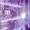 WD240PURP-20PK