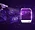 WD240PURP-20PK