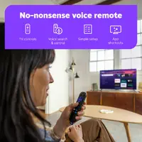 Roku 3830R