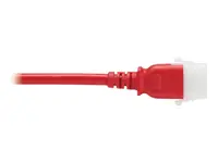 Tripp Lite-P005-E06-ARD-6