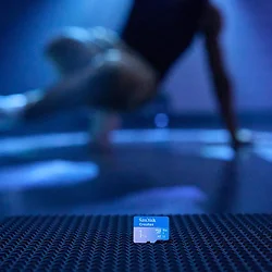 Western Digital-SDSQXAV-256G-GN6MS