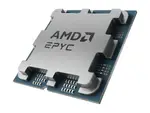 AMD 100-100001561WOF