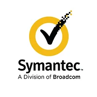 SYMANTEC-SEC-SFDC-STD-500-1000-1Y