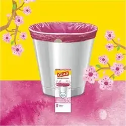 CLOROX-CLO 79274