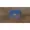 CT2000X10SSD9