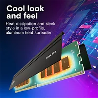 Crucial-CP2K32G4DFRA32A