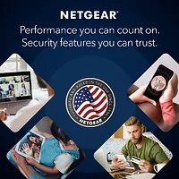 NETGEAR-RAX29-100NAS