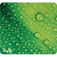 Allsop-ASP 31624