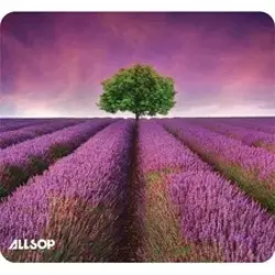Allsop-ASP 31422