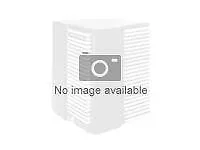 Custom America-938KY450000011