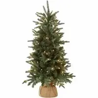 National Tree Company-NLT 729083828140