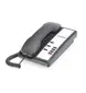 Cetis-TLD-NUG317391