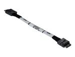 Supermicro CBL-SAST-1002-1