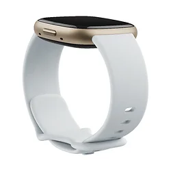 Fitbit-FB521GLBM-US