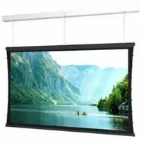 Da-Lite-DL14963FLS