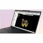 LENOVO 21QT002RUS