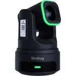 BirdDog BDX4EUB