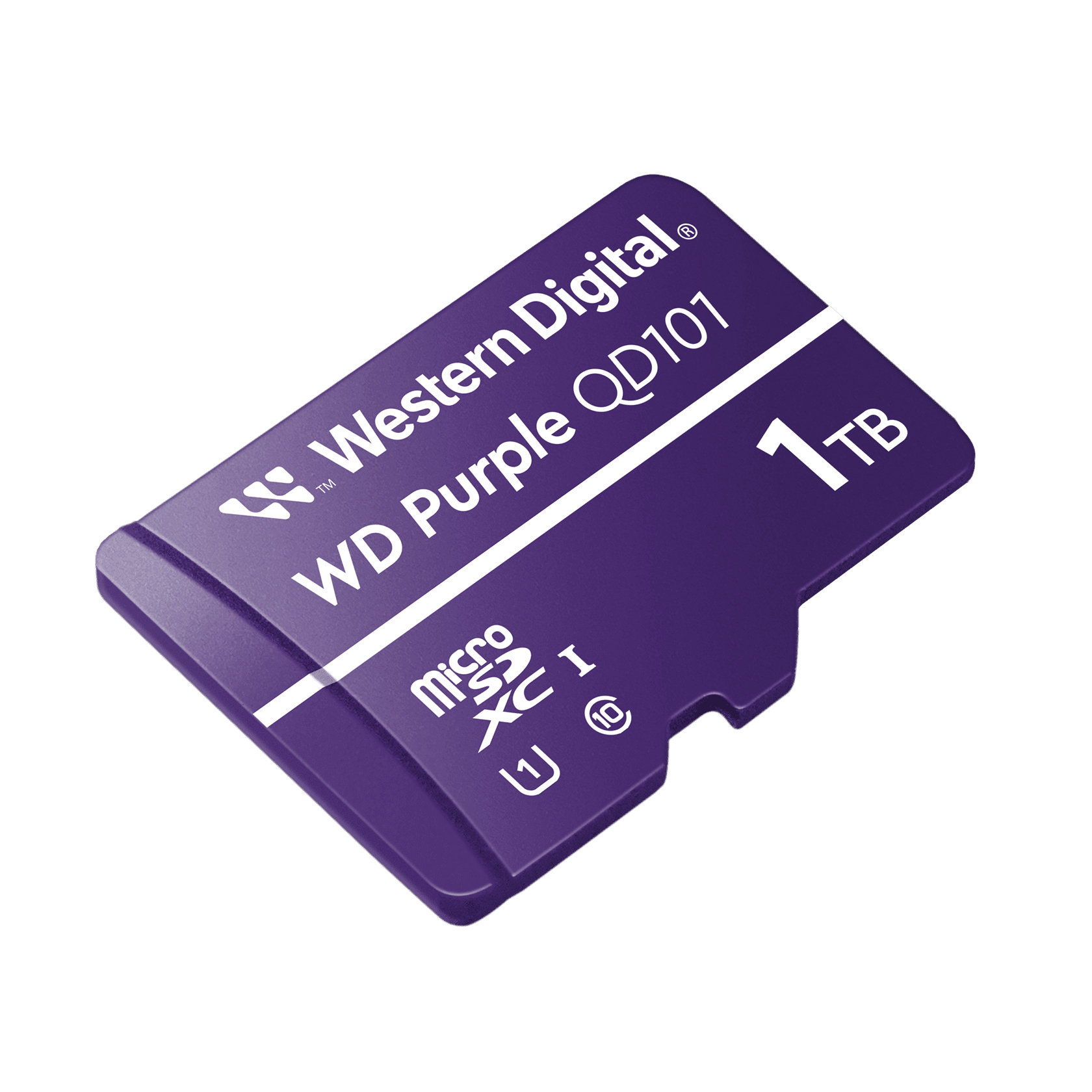 Western Digital-WDD100T1P0C
