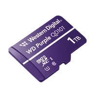Western Digital-WDD100T1P0C