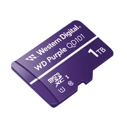 Western Digital-WDD100T1P0C
