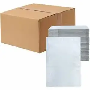 Central National Gottesman LDN XPLRPM1215 - Lindenmeyr Explorer Poly Self-Seal Mailers - Mailing/Shipping - #5 - 12" Width x 15 1/2" Length - Self-sealing - White - Polyethylene - 1 / Carton