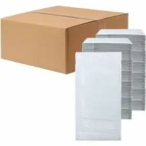 Central National Gottesman LDN XPLRPBM00 - Lindenmeyr Explorer Poly Self-Seal Bubble Mailers - Bubble/Shipping - #00 - 5" Width x 10" Length - Self-sealing - White - Polyethylene - 1 / Carton