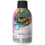 Meguiars G262602