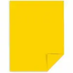 WAUSAU COATED PRODUCTS WAU 22791