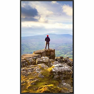 Sharp Nec PN-E329 - Sharp PN-E329 32" Full HD Display