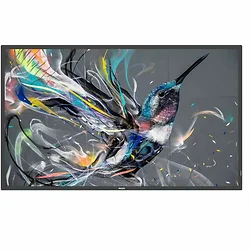 Philips-75BDL3650Q/00