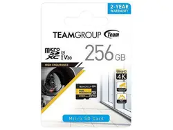 Egan Teamboard-THUSDX256GIV3002