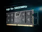 Egan Teamboard-TED516G4800C40D-S01
