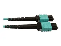 Eaton Tripplite-N846D-05M-24BAQ