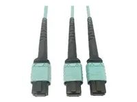 Eaton Tripplite-N846D-03M-24BAQ