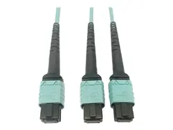 Eaton Tripplite-N846D-03M-24BAQ